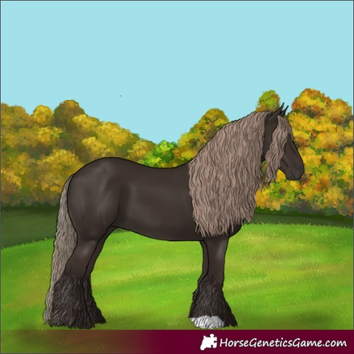 Horse Color:Liver Chestnut 