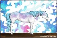 Horse Color:Watercolor White Spotted Bay Ice