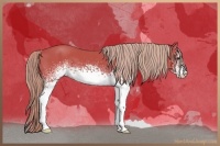 Horse Color:Watercolor White Spotted Liver Chestnut Sabino 