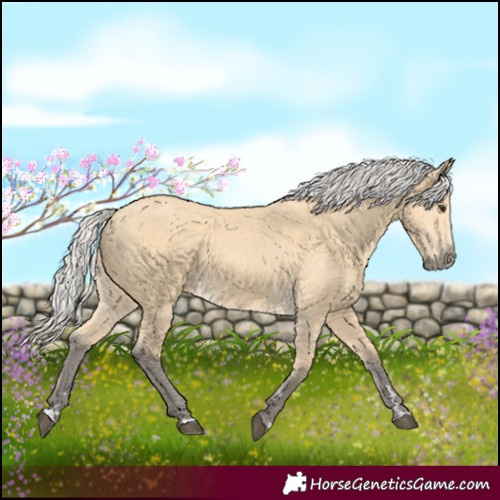 Horse Color:Silver Buckskin 
