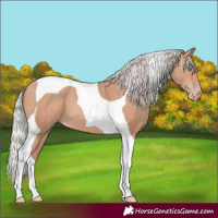 Horse Color:Silver Sable Champagne Tobiano
