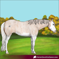 Horse Color:Silver Bay Roan Dun Splash 