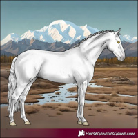 Horse Color:Gray Amber Champagne Tobiano 