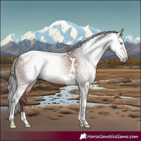 Horse Color:Gray Amber Champagne Tobiano 