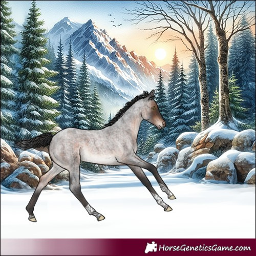 Horse Color:Brown Roan Mushroom Tobiano 