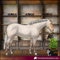 Horse Color:Silver Bay Roan Dun Appaloosa Rabicano 