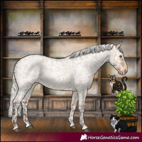 Horse Color:Silver Bay Roan Dun Appaloosa Rabicano