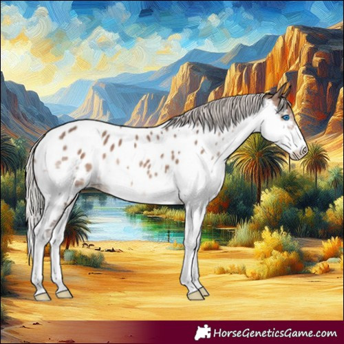 Horse Color:Silver Brown Dun Splash Near Leopard 