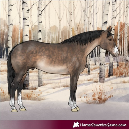 Horse Color:Brown Dun Sabino Rabicano 