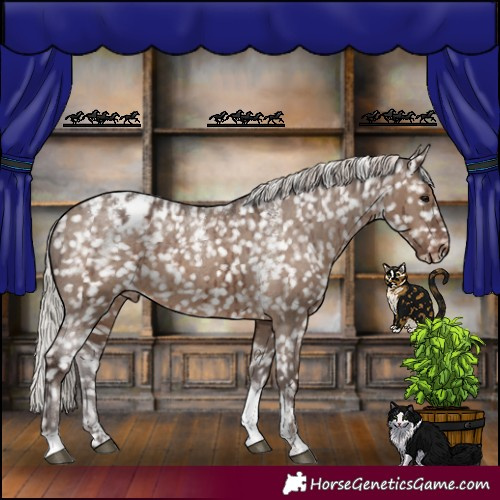 Horse Color:Powder White Silver Grullo Tobiano Appaloosa Rabicano Brindle 