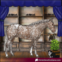 Horse Color:Powder White Silver Grullo Tobiano Appaloosa Rabicano Brindle 