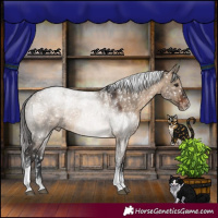 Horse Color:Powder White Brown Dun Tobiano Appaloosa Rabicano 