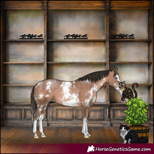 Horse Color:White Spotted Sable Champagne Splash Frame Rabicano 