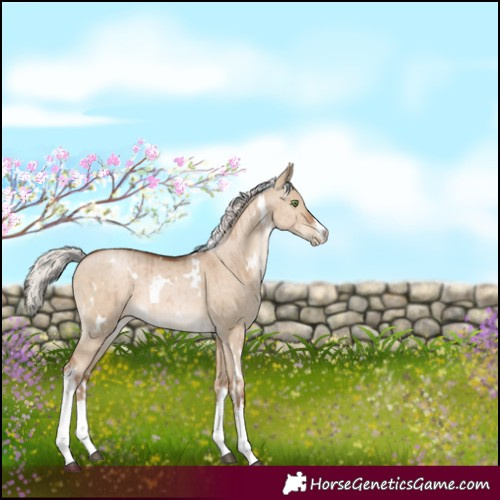 Horse Color:White Spotted Silver Brown Pearl Dun Brindle 