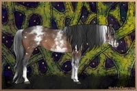 Horse Color:White Spotted Bay 