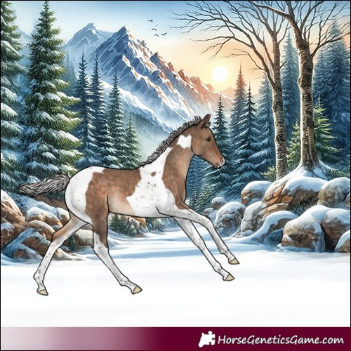 Horse Color:Silver Brown Dun Tobiano Brindle 