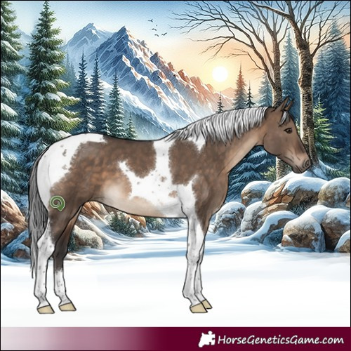 Horse Color:Brown Dun Tobiano 