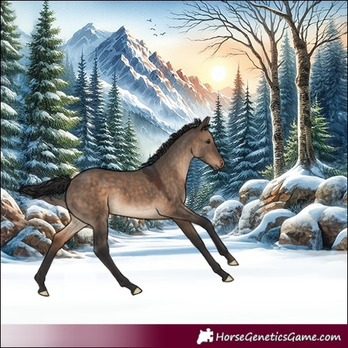 Horse Color:Brown Dun 