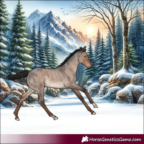 Horse Color:Liver Red Dun Roan Brindle