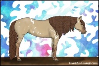 Horse Color:White Spotted Liver Red Dun Sabino 