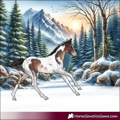 Horse Color:Brown Sabino Tobiano Rabicano 