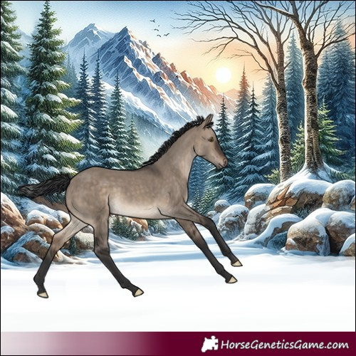 Horse Color:Brown Dun Rabicano 