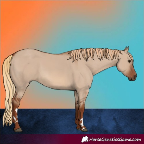 Horse Color:Red Dun 