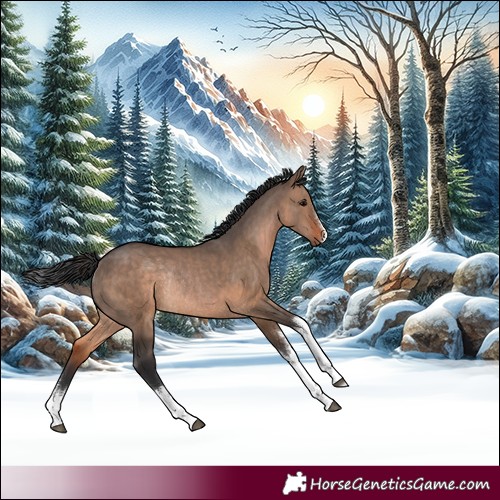 Horse Color:White Spotted Brown Dun Rabicano 