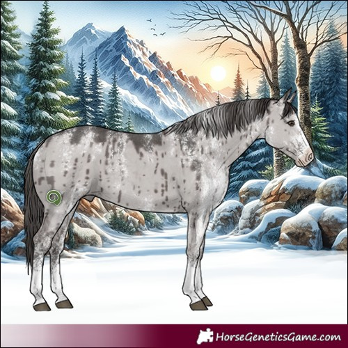 Horse Color:Powder White Platinum White Spotted Liver Red Dun Rabicano Brindle 