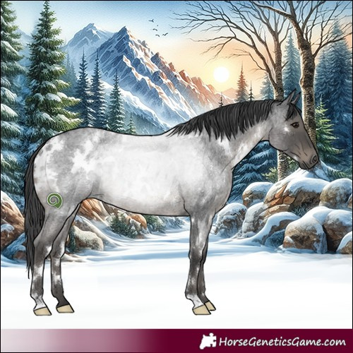 Horse Color:White Spotted Blue Roan Rabicano 