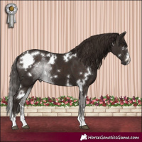 Horse Color:White Spotted Liver Chestnut 