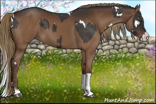 Horse Color:White Spotted Liver Chestnut and Liver Chestnut Splash