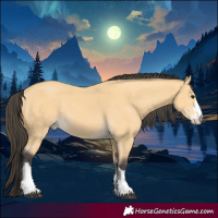 Horse Color:Buckskin 