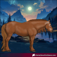 Horse Color:Gray Chestnut 