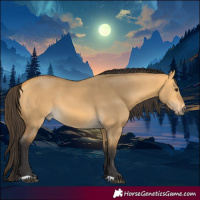Horse Color:Buckskin Dun 