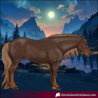 Horse Color:Gray Chestnut 