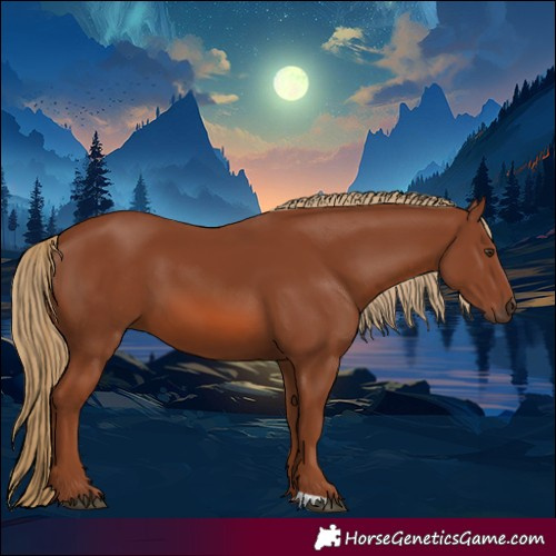 Horse Color:Chestnut 