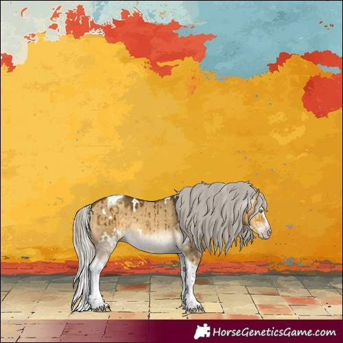 Horse Color:Gray White Spotted Silver Sable Cream Champagne Dun Splash Tobiano Brindle 