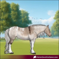 Horse Color:Powder White Silver Brown Dun Tobiano Rabicano 