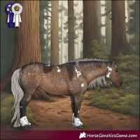Horse Color:White Spotted Silver Brown Dun Tobiano