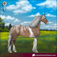 Horse Color:Powder White Silver Brown Dun Tobiano Rabicano