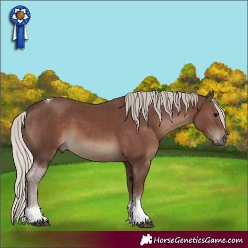 Horse Color:Silver Black Tobiano 