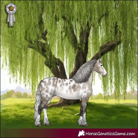 Horse Color:Gray White Spotted Silver Brown Dun Sabino Splash Near Leopard 