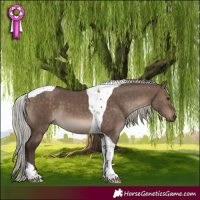 Horse Color:Silver Brown Dun Tobiano 