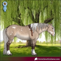Horse Color:White Spotted Silver Brown Dun Splash Tobiano Rabicano 