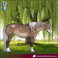 Horse Color:White Spotted Silver Brown Dun Splash Tobiano Rabicano