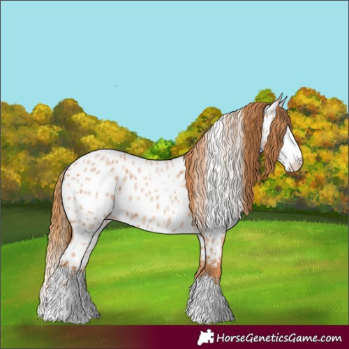 Horse Color:Red Roan Splash Near Leopard 