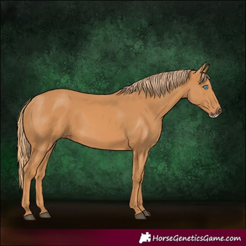 Horse Color:Chestnut Frame
