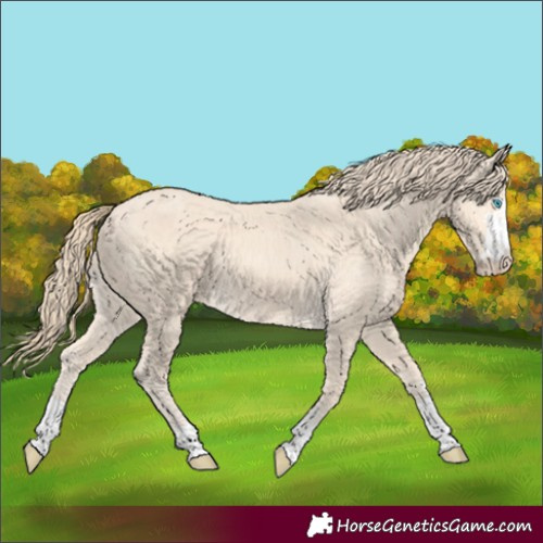 Horse Color:Perlino 