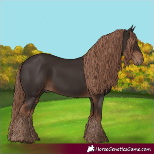 Horse Color:Liver Chestnut Rabicano 